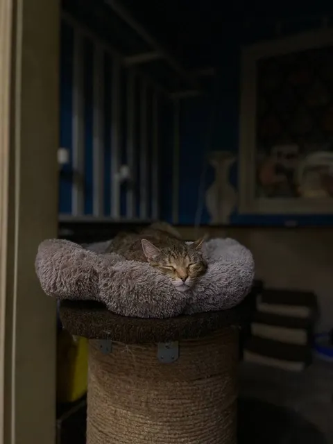 Открыть большое фото