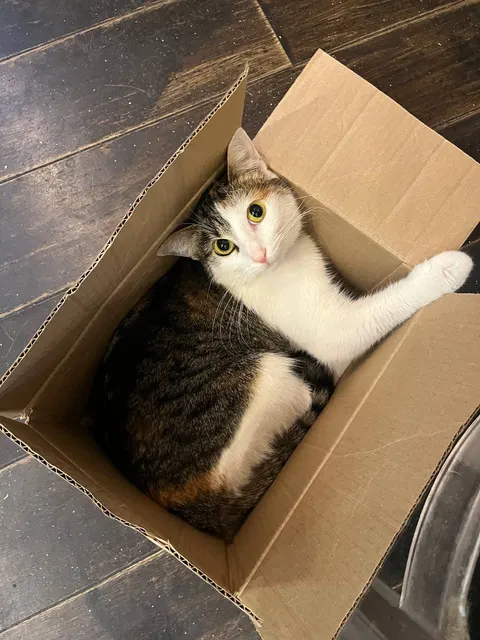 Открыть большое фото