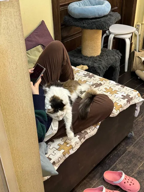 Открыть большое фото