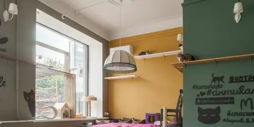Котокафе «Котики и Люди», фотография 4