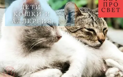 Эффект фермы и кошки: как домашние питомцы помогают детям избавиться от аллергий