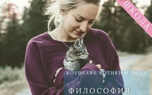 Кошачья философия: Как обрести покой, перестав быть человеком